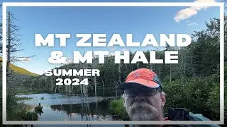 Zealand and Hale in Summer