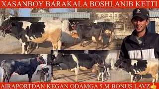 XASANBOY🔥F😱🥛🌨️NARXLAR ANCHA ARZON SIGIRLAR JUDA TEZ SOTILMOQDA SIZ XAM OLING🤝BARKA T✊🏃