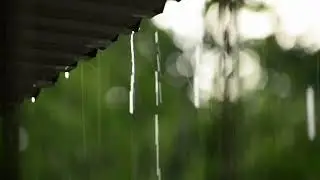 Relaxing Rain Sounds 🌧️ For Sleeping and Studying