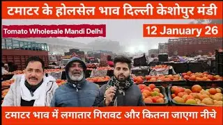 टमाटर होलसेल भाव दिल्ली🍅 12 January 26 Delhi  Keshopur Mandi | today tomato rate #tamatar #tomato