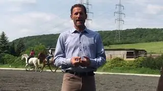 EQWO.net pr&auml;sentiert: fit 4 riding&reg; - Ausdauertraining