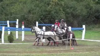 Thomas VAN DYCK (BEL) FEI CH-M-A Ponies, P4, &Aacute;sz&aacute;r-Kisb&eacute;r (HUN), marathon, obst. Nr. 8, 28.09.2019