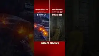 ELDEN RING NIGHTREIGN HITS 2M! | Elden Ring Nightreign vs Elden Ring - Impact Physic Comparison