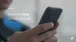 GPSBird PRO - Smart GPS Tracking for Cars, Motorbikes & More