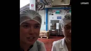 Tonnellate di marmellata bio!