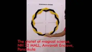 Mesmerizing Experience