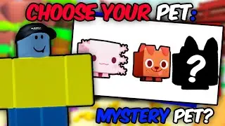 Returning to Roblox Pet Simulator - What Did I Miss?