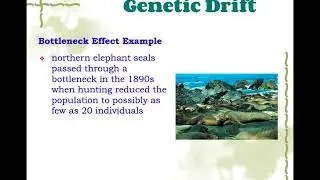 Mechanisms of Microevolution