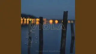 Viola