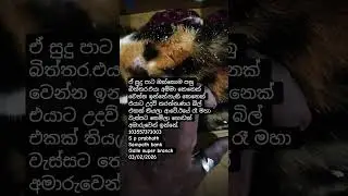 0771102846