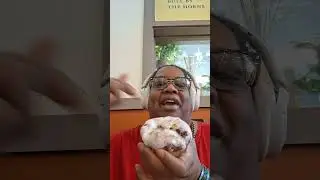 Harvest Blueberry Lemon Donut🍩 Review.🫐🍋