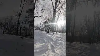 Сила природы. Байкальский дегидрокверцитин. Здоровье, молодость, стройность💯 