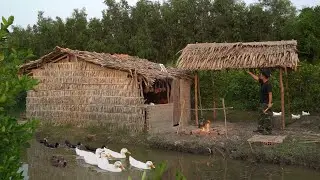 Doctor left the city for the forest - turning the forest into his own farm, a life of freedom