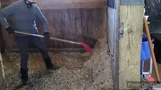 Stall Cleaning