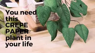 Craft Along | Paper Potted Plant