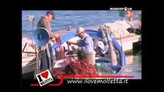 MOLFETTA: I Love Molfetta promuove MOLFETTA - Borghimarini - SKY 414 - MARCOPOLO Parte 1