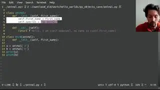 Python object, inheritance & polymorphism