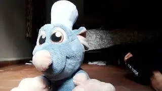 V&iacute;deos cortos