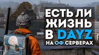 I JOINED DAYZ ON THE OFFICIAL SERVER AFTER 8 YEARS. HOW HAS DAYZ CHANGED?