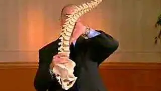 Workplace Health Training Program: Back & Neck Injury
