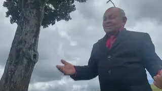 NÃO TEMAS - FRANCISCO RODRIGUES 