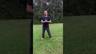 Zen Swing Tai Chi Meditation Bee Style Basics
