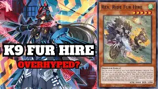 Is K9 Fur Hire Actually Good? | Yu-Gi-Oh! Deck Profile & Gameplay