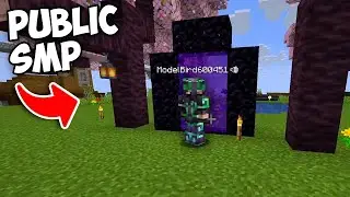 We Started the Minecraft SMP Nether Hub..
