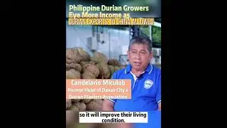 #Philippine durian growers eye more #income as durian #exports to #China allowed #fyp #agriculture