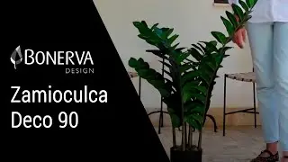 Zamioculca Deco 90 cm | Planta Artificial Bonerva 🌿 Realismo Natural y Estilo Moderno