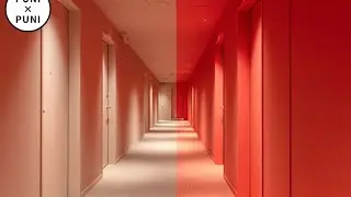 Japan's Amazing Two-Tone Color Hotel🤍💚
