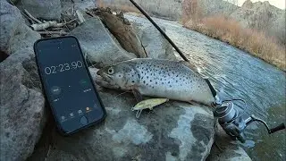 FASTEST Catch and Cook Ever!! (Wild Brown Trout)