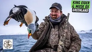 This Week on SCTV - King Eider on Top of the World