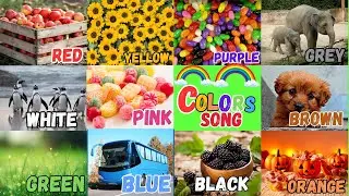 Learn Primary Colors For Kids | Nursery Rhymes | Red, Blue, Yellow | Learn English Vocabulary