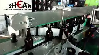 Double sided neck labeling machine with spoke mechanism