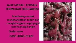 0895-4063-61427(Tel/Wa),Distributor Jahe Merah termurah terbaik di sulawesi