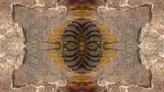 The Unquiet Void: Omukade