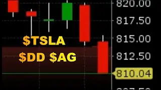 Day trading big range stocks $tsla $dd $ag