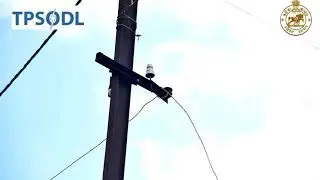 Public awareness on electrical safety_ TPSODL