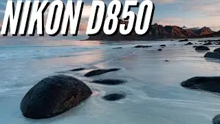 Nikon D850 📸 Sample Photography - Image Quality