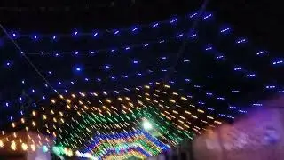 Lichu light decoration 🙏🙏💗&hearts;️💗🎡🎇🎇🎇🎄🎋🎊🎊🎉