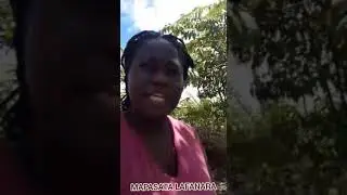 MAPASATA LAFANARA
