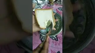 yummy bread butter spread 🍞😋😋 #shorts #bread #butter #breadbutter #butterspread #indianstreetfood