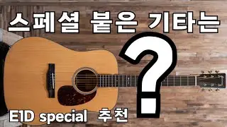 스페셜한 기타 추천드립니다 이스트만 e1d special