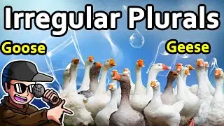 Irregular Plurals: A Rap Song