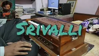 Srivalli | Pushpa | Harmonium Cover | Aniket's Music 🎹 | Javed Ali