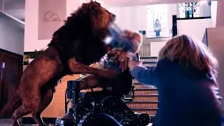 Deadly Lion Escapes a Zoo and Hunts People