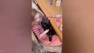 Best Protect For Baby🤗#baby #dog #cute #love #guardian #Protect #bestFriends