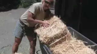 What does it take to be a giraffe keeper at the Oakland Zoo?