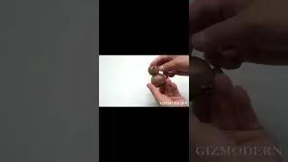 Mini Exquisite Bird Shape Wooden Bottle Opener, for Home, Bar & More